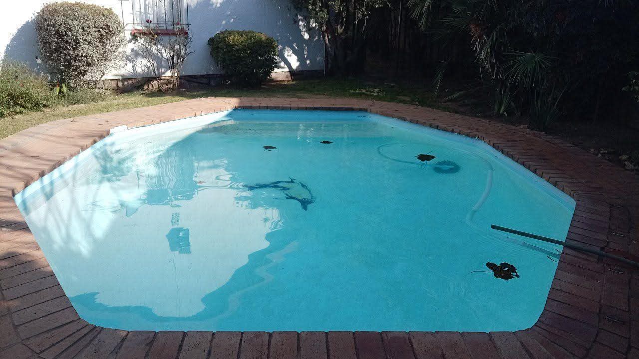 Freeform garden pool