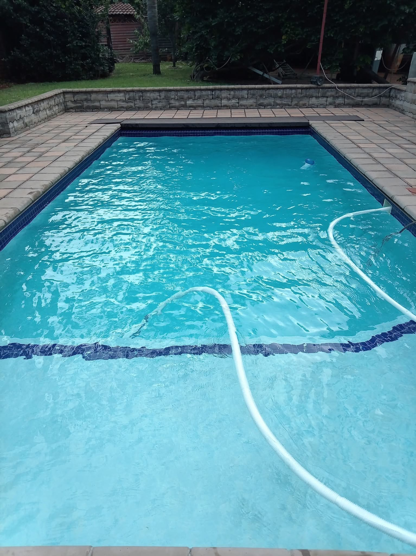 Rectangular pool with brick coping
